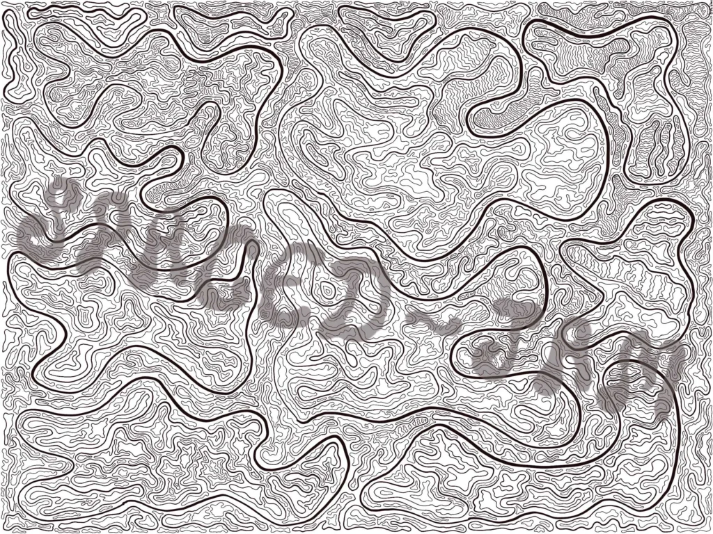 Print 3